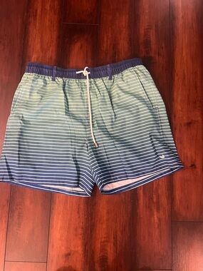 Men's Southern Marsh Swim Trunks